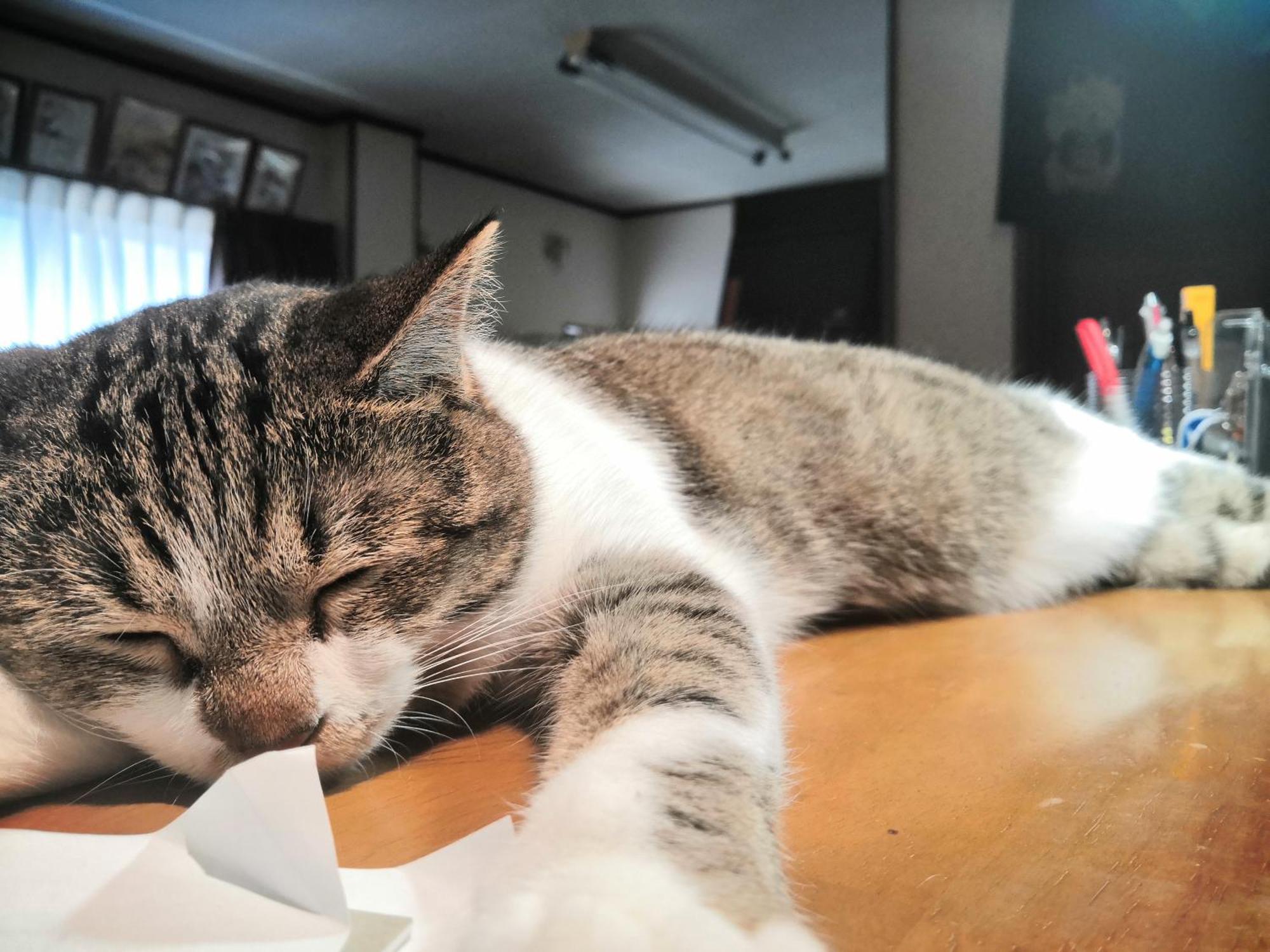 Tiny Guesthouse Umekoji 梅小路 Kioto Zewnętrze zdjęcie